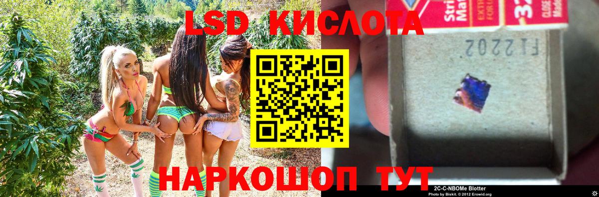 НБОМе Котельники