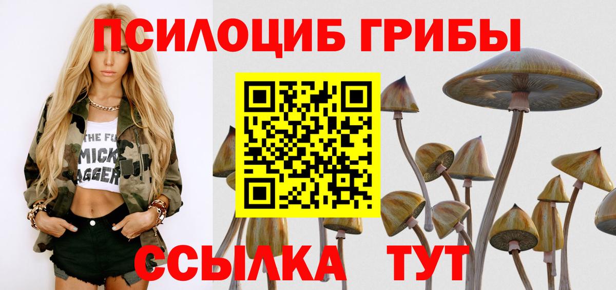 Псилоцибиновые грибы MAGIC MUSHROOMS Котельники
