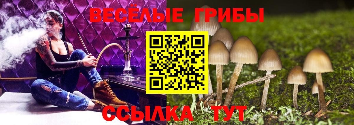 Котельники  Галлюциногенные грибы Cubensis  Галлюциногенные грибы мухоморы  Вход с VPN 